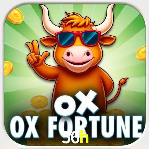 Experiência VIP 56h